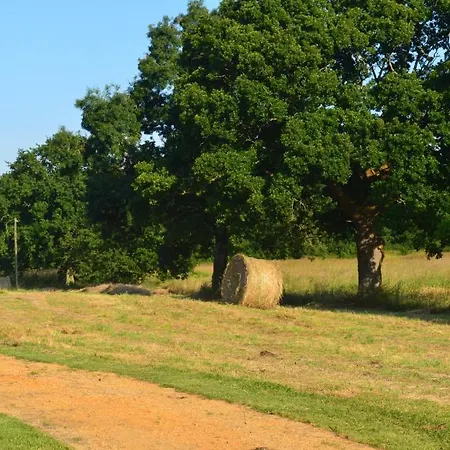 Hotel Logis La Ferme Du Blanchot Crossac